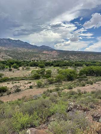 155 Acres of Land for Sale in Glenwood, New Mexico