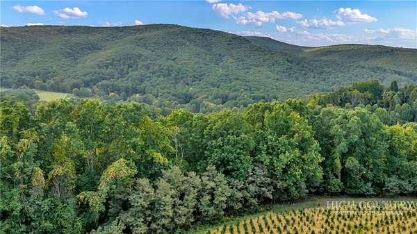 66.3 Acres of Recreational Land for Sale in Troutdale, Virginia
