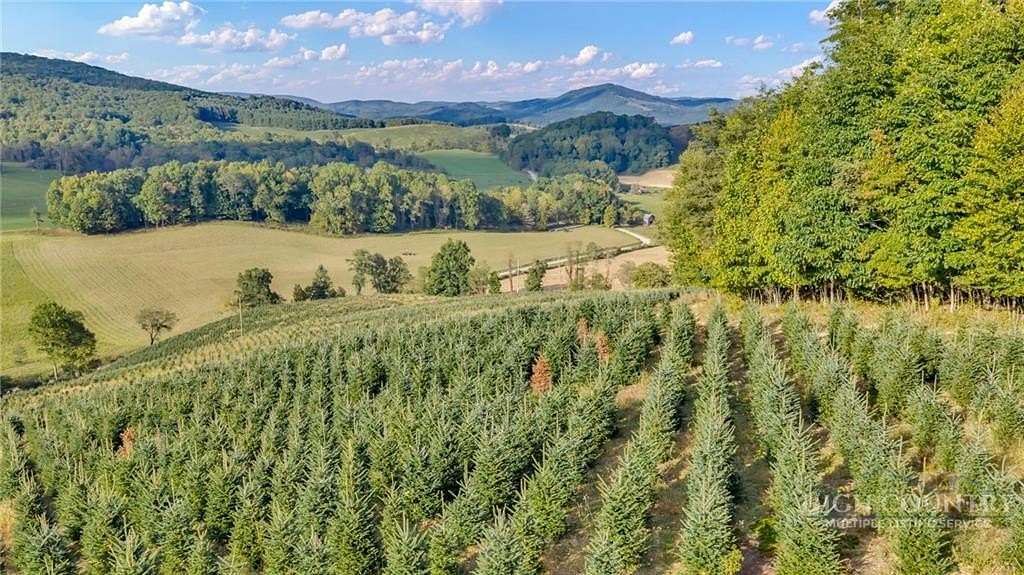 75 Acres of Land for Sale in Troutdale, Virginia