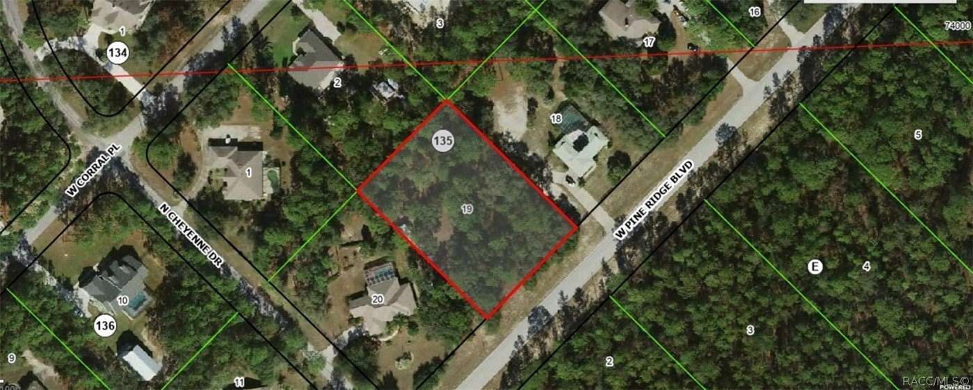 1 Acre of Residential Land for Sale in Beverly Hills, Florida
