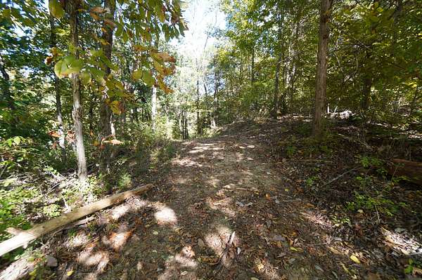 15 Acres of Land for Sale in Jefferson City, Tennessee