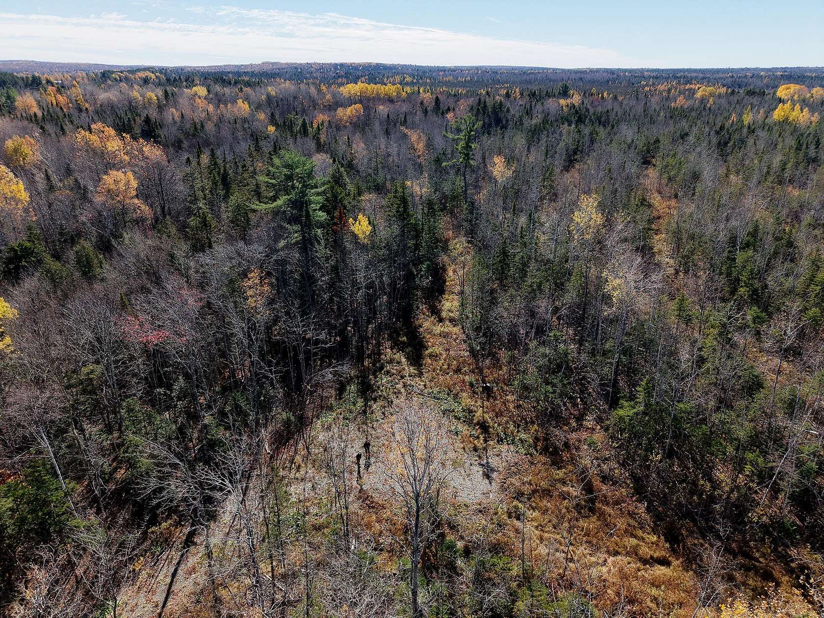 29 Acres of Recreational & Residential Land for Sale in Amity Town, Maine