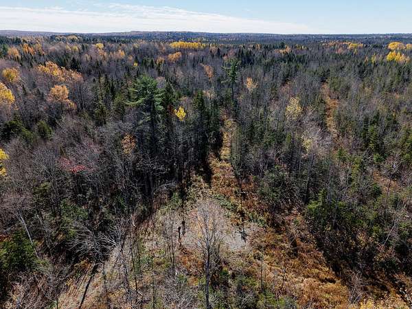 29 Acres of Recreational & Residential Land for Sale in Amity Town, Maine