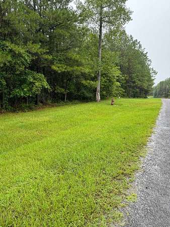 3.1 Acres of Residential Land for Sale in Arley, Alabama
