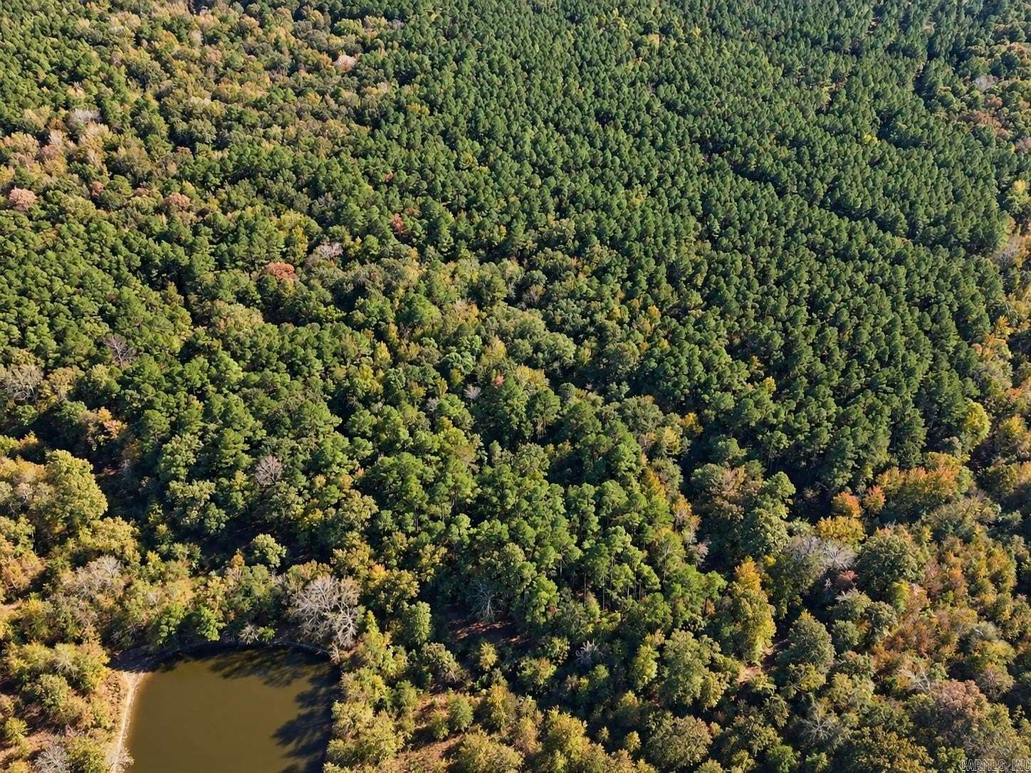 25 Acres of Recreational & Residential Land for Sale in Thornton, Arkansas