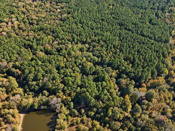 25 Acres of Recreational & Residential Land for Sale in Thornton, Arkansas