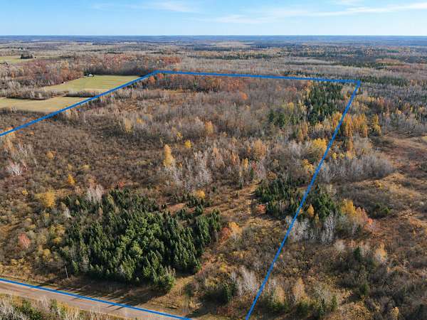 80 Acres of Land for Sale in Ladysmith, Wisconsin