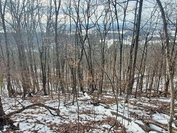 4.1 Acres of Residential Land for Sale in Crumpler, North Carolina