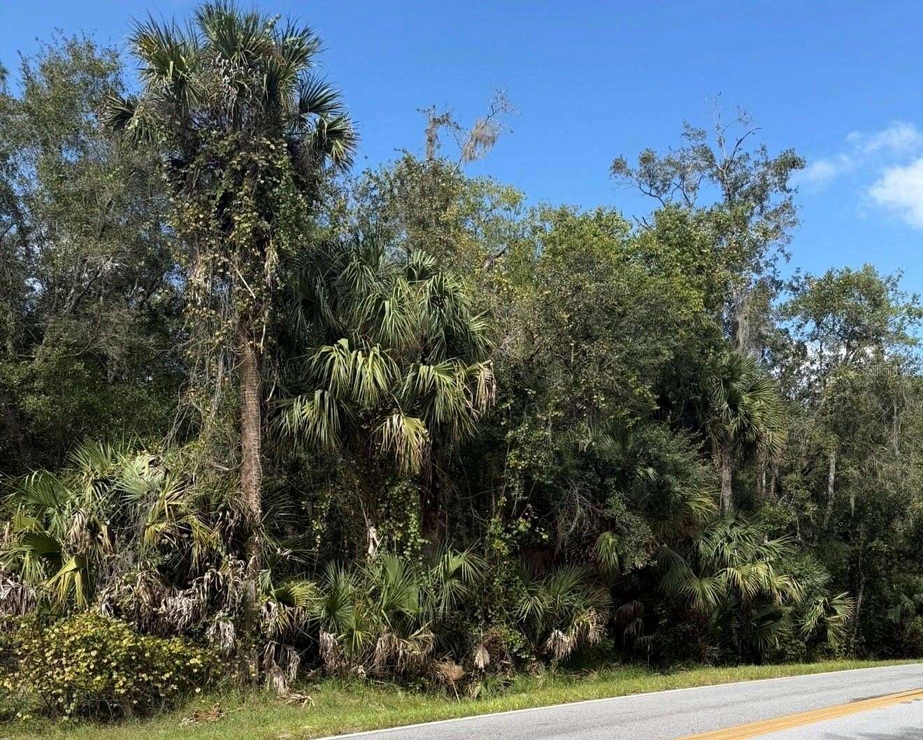 12.1 Acres of Land for Sale in Davenport, Florida