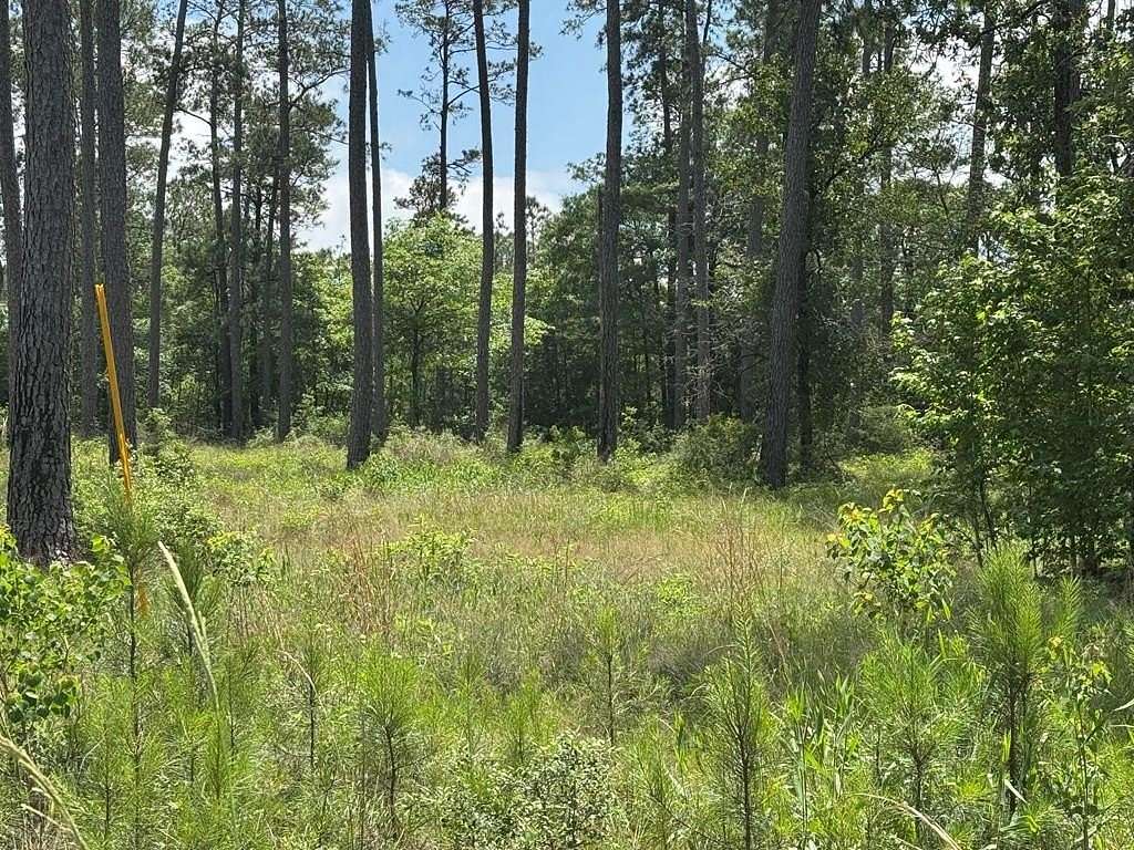 1 Acre of Residential Land for Sale in Brookeland, Texas