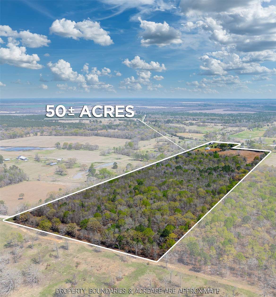 49.4 Acres of Land for Sale in Bagwell, Texas