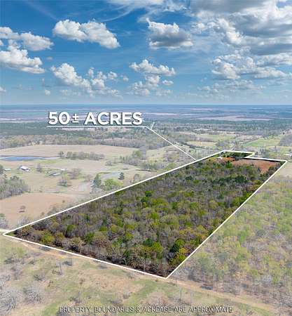 49.4 Acres of Land for Sale in Bagwell, Texas