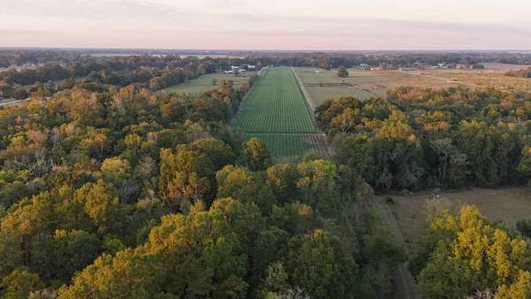 180 Acres of Recreational Land for Sale in Leonville, Louisiana