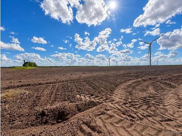 10 Acres of Land for Sale in Lyford, Texas