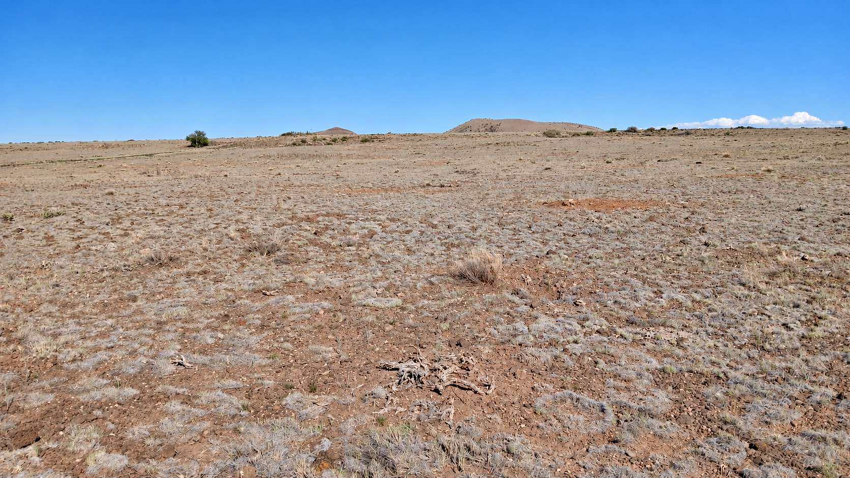 1 Acre of Land for Sale in Concho, Arizona