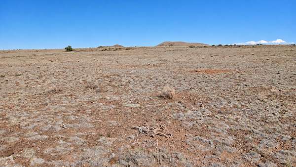 1 Acre of Land for Sale in Concho, Arizona