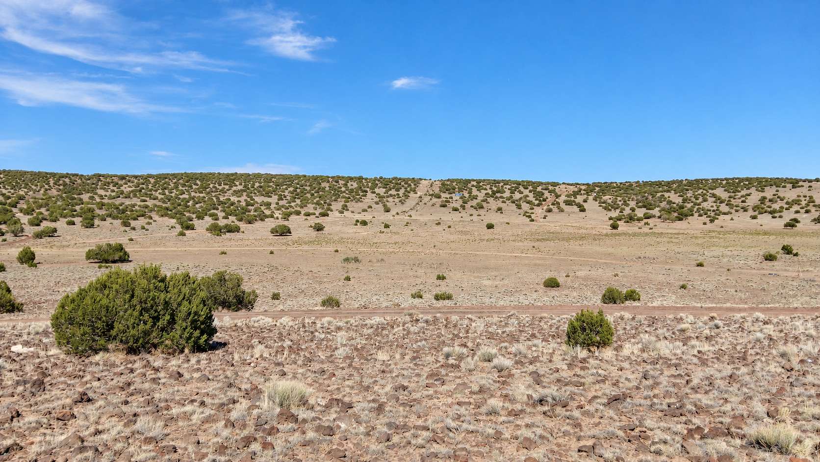 1 Acre of Residential Land for Sale in Concho, Arizona