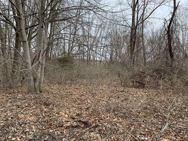 0.75 Acres of Residential Land for Sale in Grand Rapids, Michigan