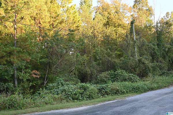 0.8 Acres of Residential Land for Sale in Cleveland, Alabama