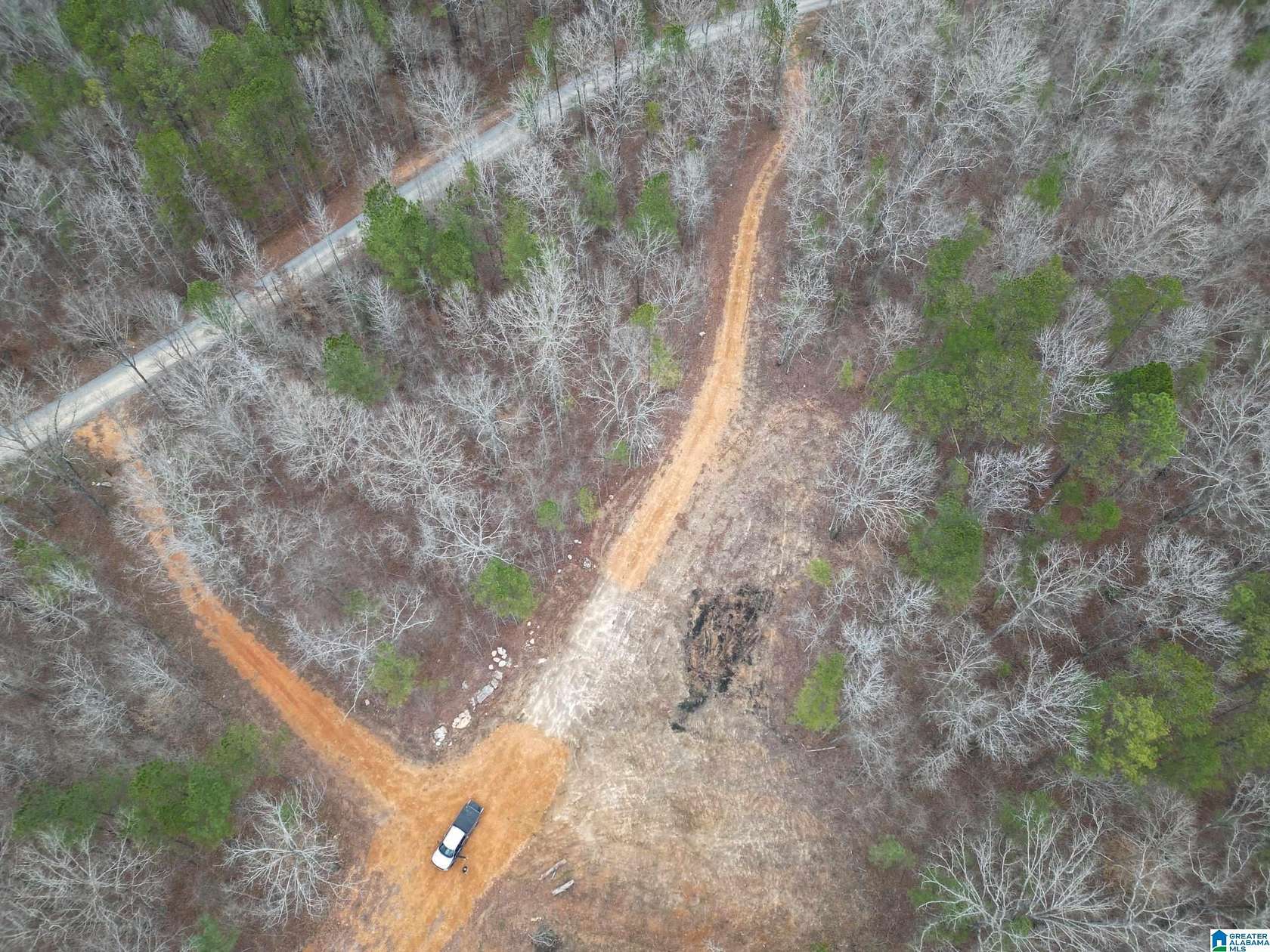 9.8 Acres of Residential Land for Sale in Pell City, Alabama