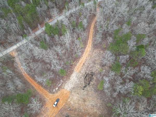 9.8 Acres of Residential Land for Sale in Pell City, Alabama