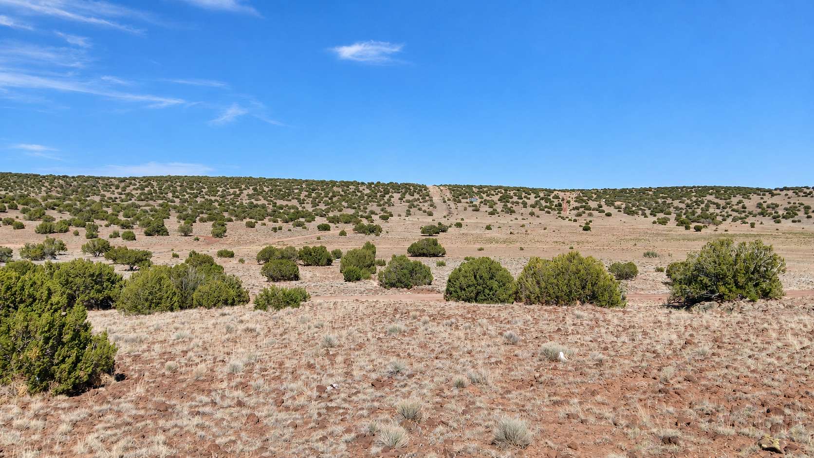 1 Acre of Residential Land for Sale in Concho, Arizona