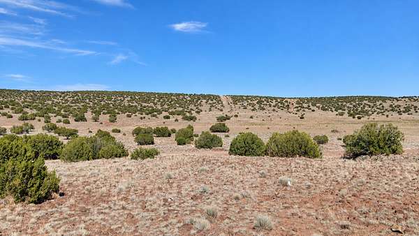 1 Acre of Residential Land for Sale in Concho, Arizona