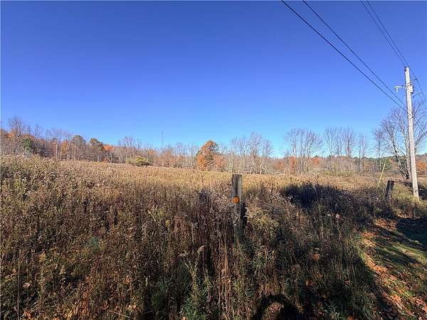 7 Acres of Residential Land for Sale in Davenport, New York