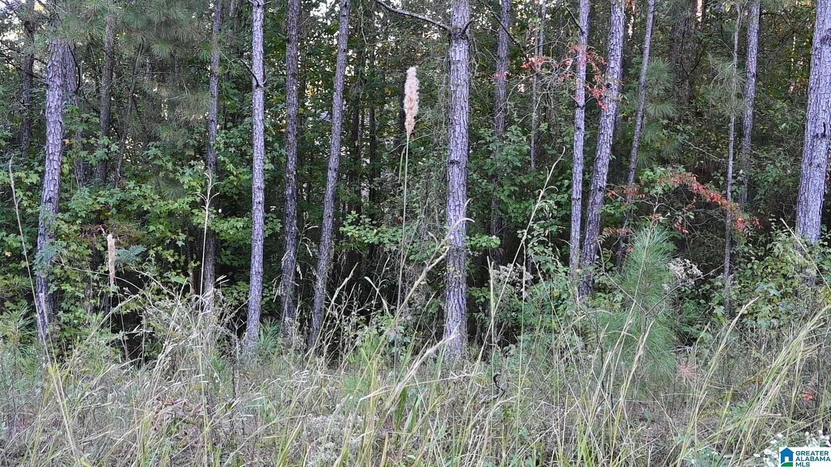 0.4 Acres of Residential Land for Sale in Cleveland, Alabama