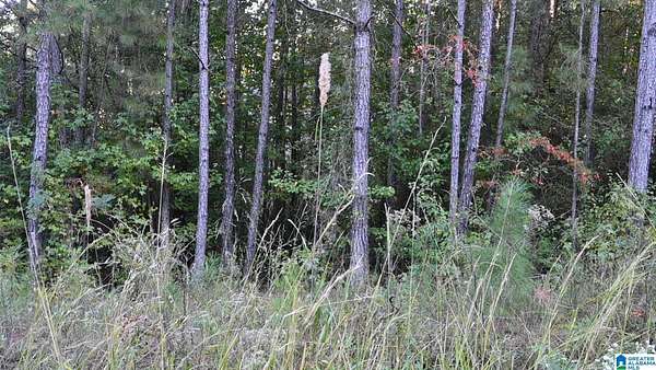 0.4 Acres of Residential Land for Sale in Cleveland, Alabama