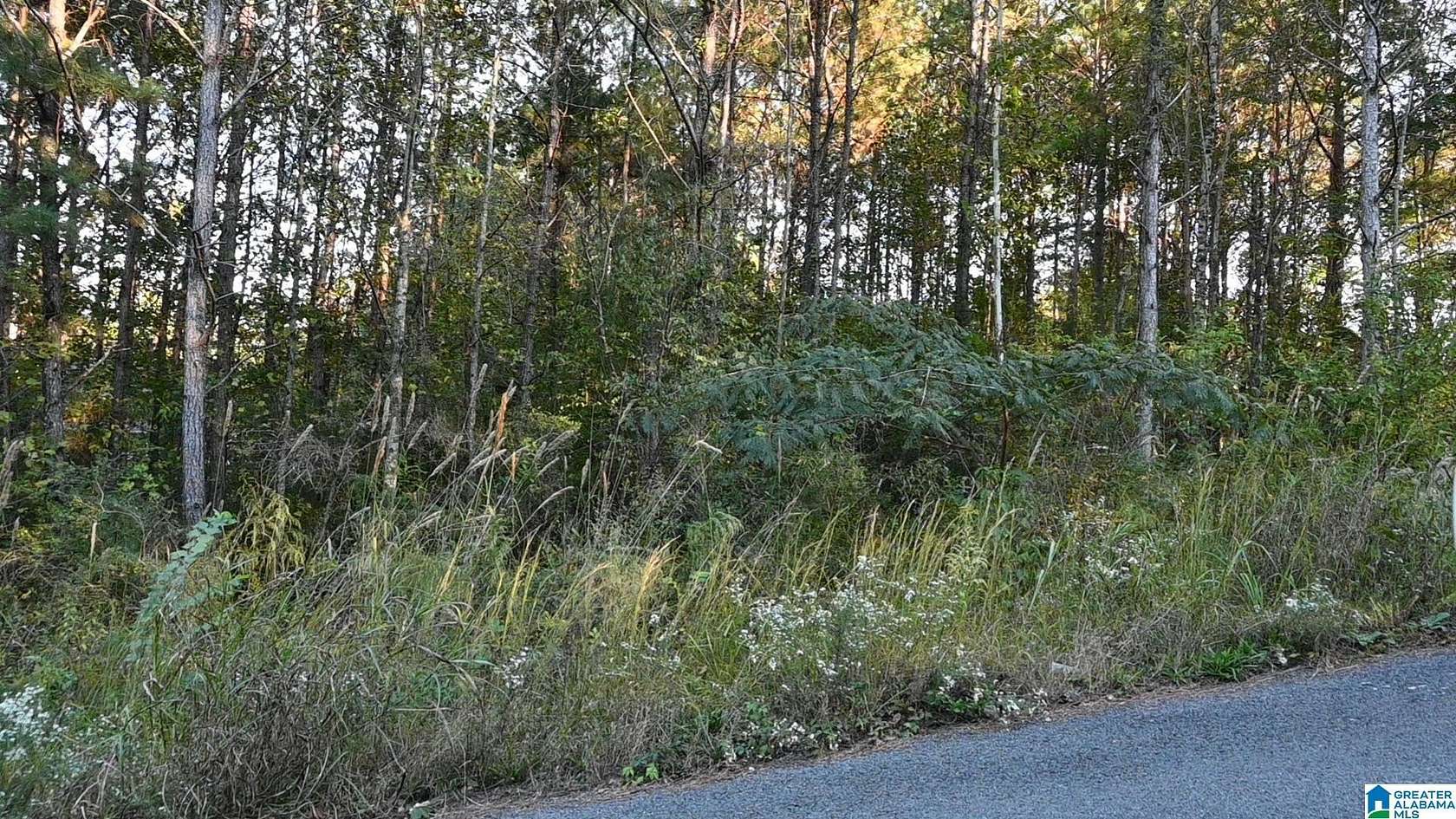 0.4 Acres of Residential Land for Sale in Cleveland, Alabama