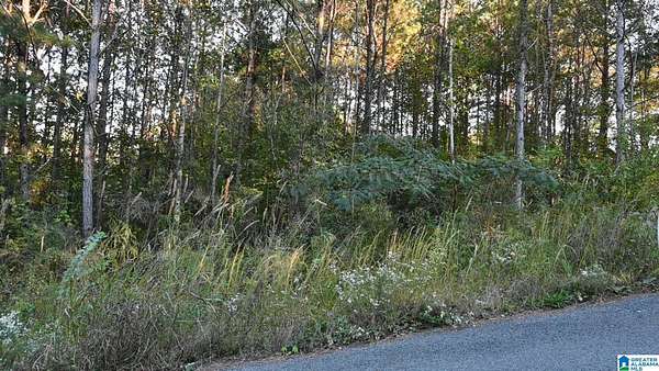 0.4 Acres of Residential Land for Sale in Cleveland, Alabama
