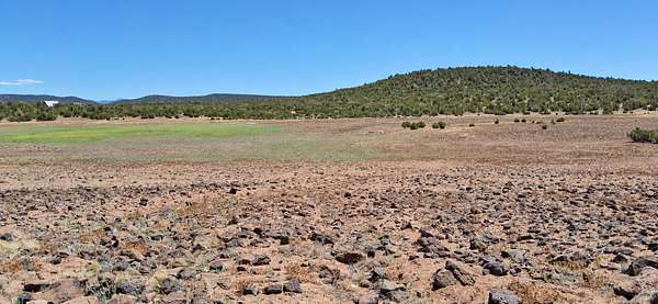 1.17 Acres of Residential Land for Sale in Snowflake, Arizona
