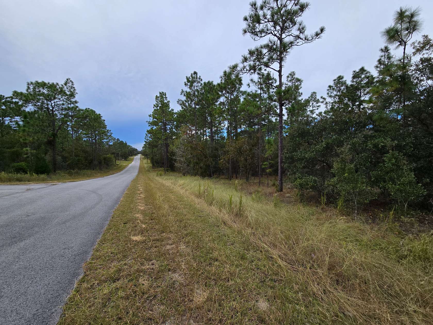1 Acre of Residential Land for Sale in Dunnellon, Florida