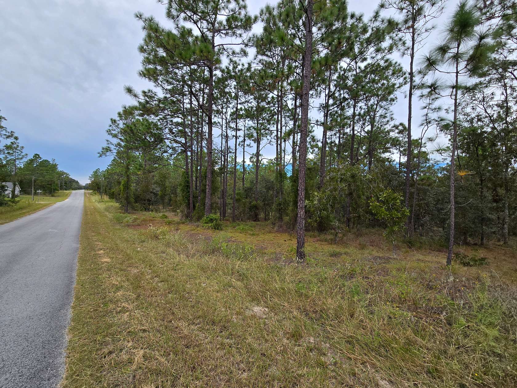 1 Acre of Residential Land for Sale in Dunnellon, Florida