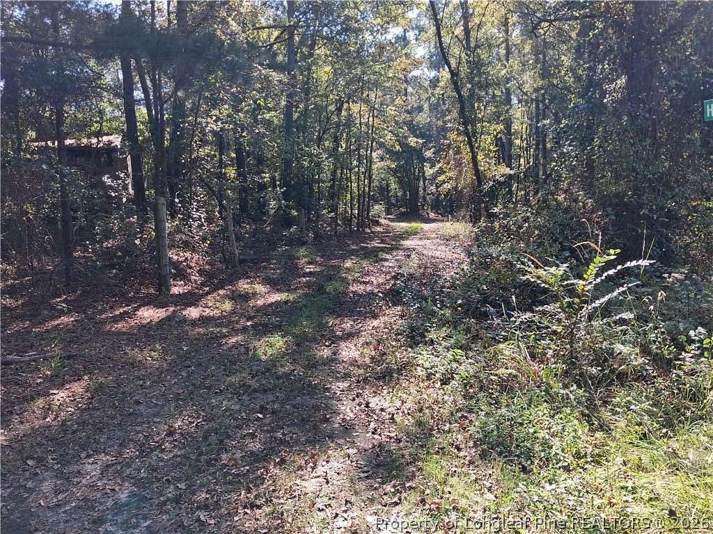 12 Acres of Land for Sale in White Oak, North Carolina