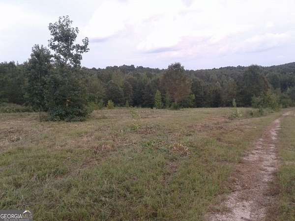 24 Acres of Recreational & Residential Land for Sale in Monticello, Georgia