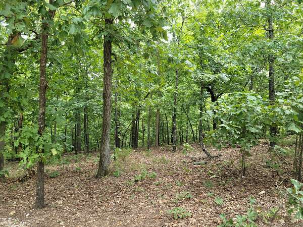3 Acres of Land for Sale in Cherokee Village, Arkansas