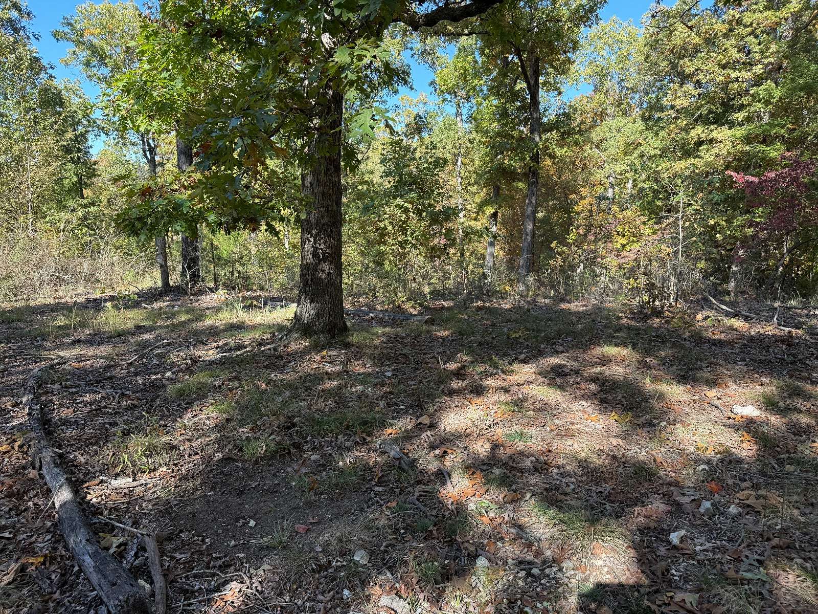 3.25 Acres of Residential Land for Sale in Cave City, Arkansas