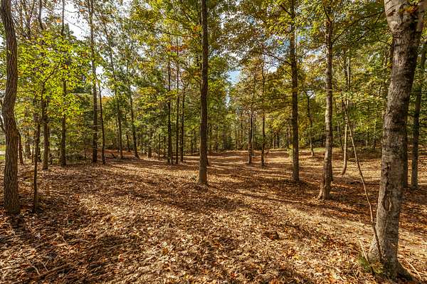 11 Acres of Recreational & Residential Land for Sale in Westmoreland, Tennessee