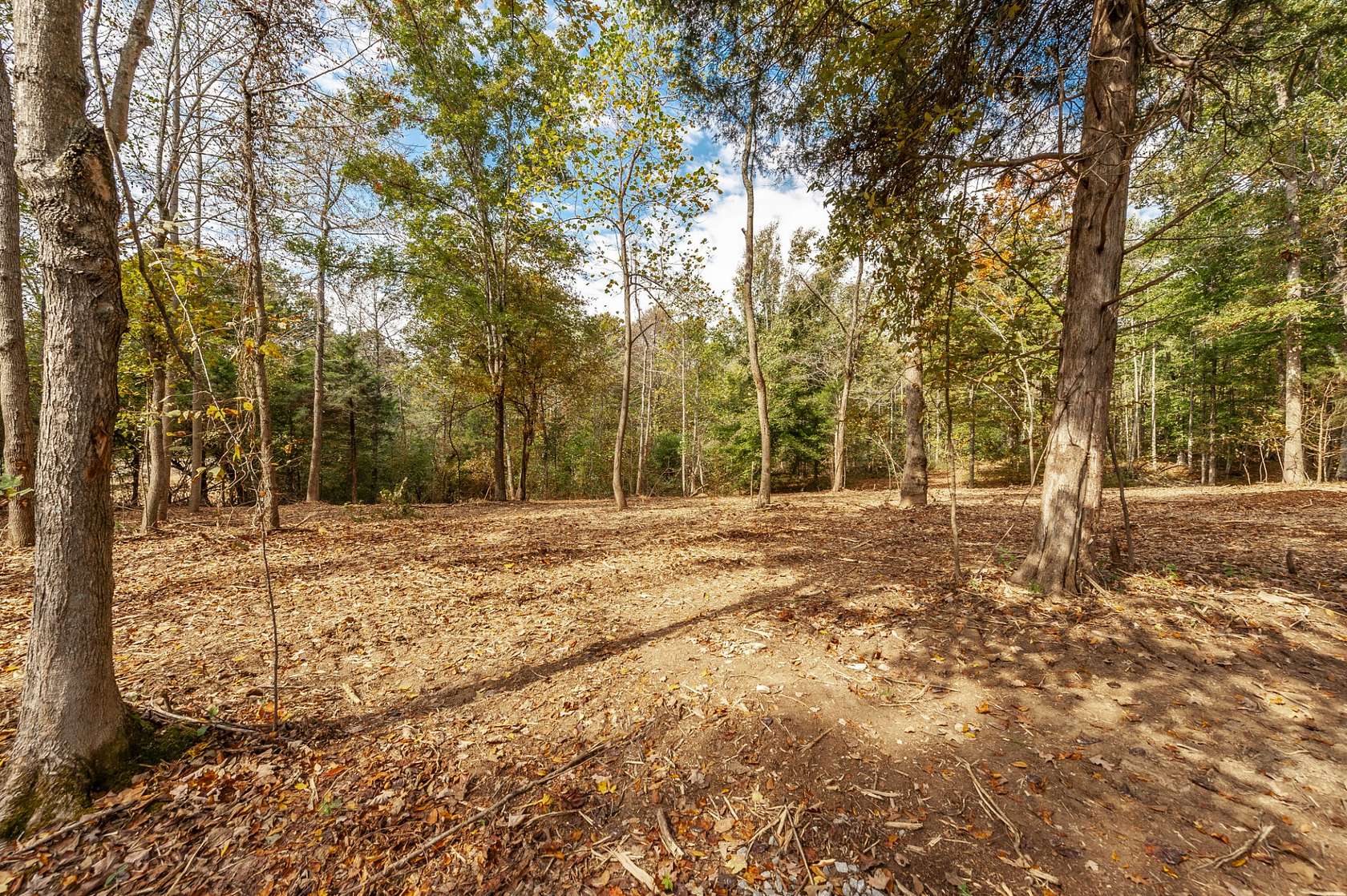 11 Acres of Recreational & Residential Land for Sale in Westmoreland, Tennessee
