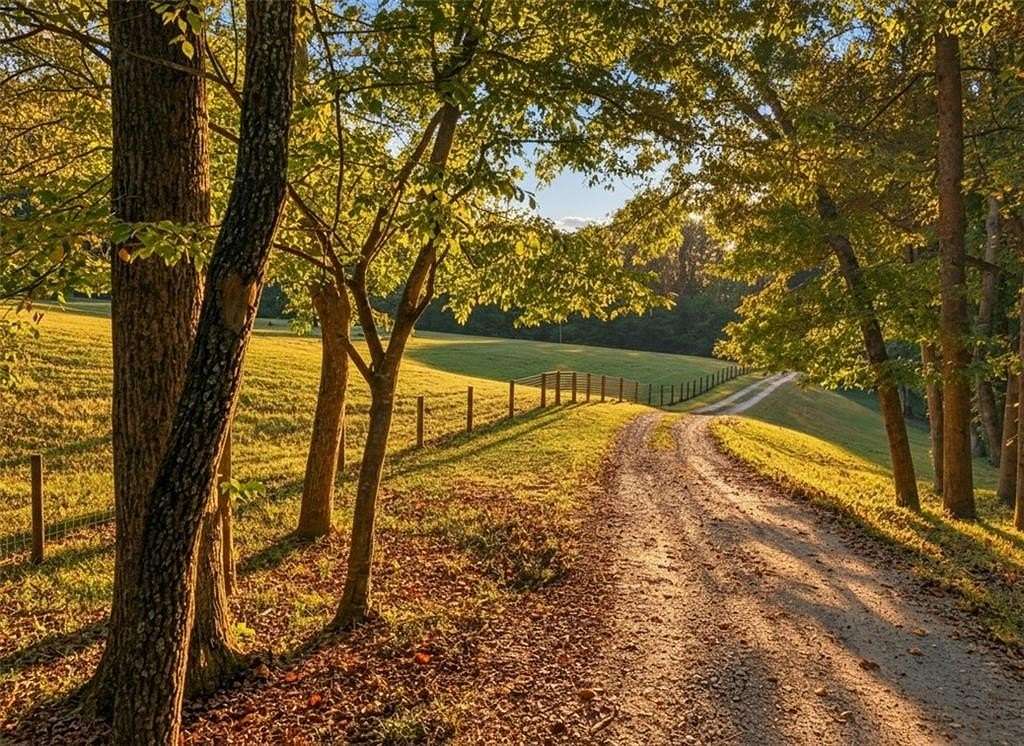 21.4 Acres of Land with Home for Sale in Murrayville, Georgia