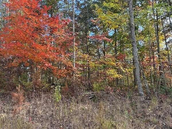 Residential Land for Sale in Crawford, Tennessee