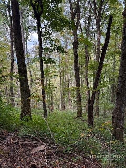 0.76 Acres of Residential Land for Sale in Creston, North Carolina