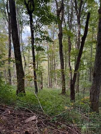 0.76 Acres of Residential Land for Sale in Creston, North Carolina