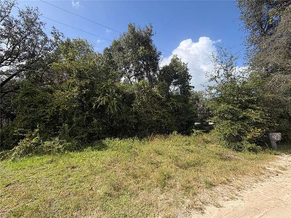 0.34 Acres of Residential Land for Sale in Silver Springs, Florida