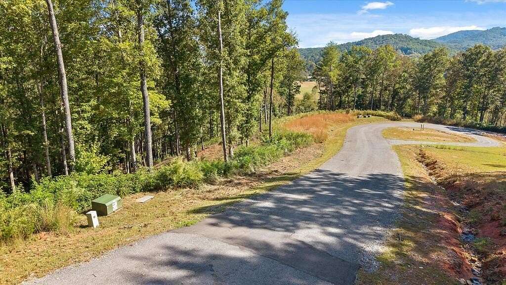 1 Acre of Residential Land for Sale in Morganton, Georgia