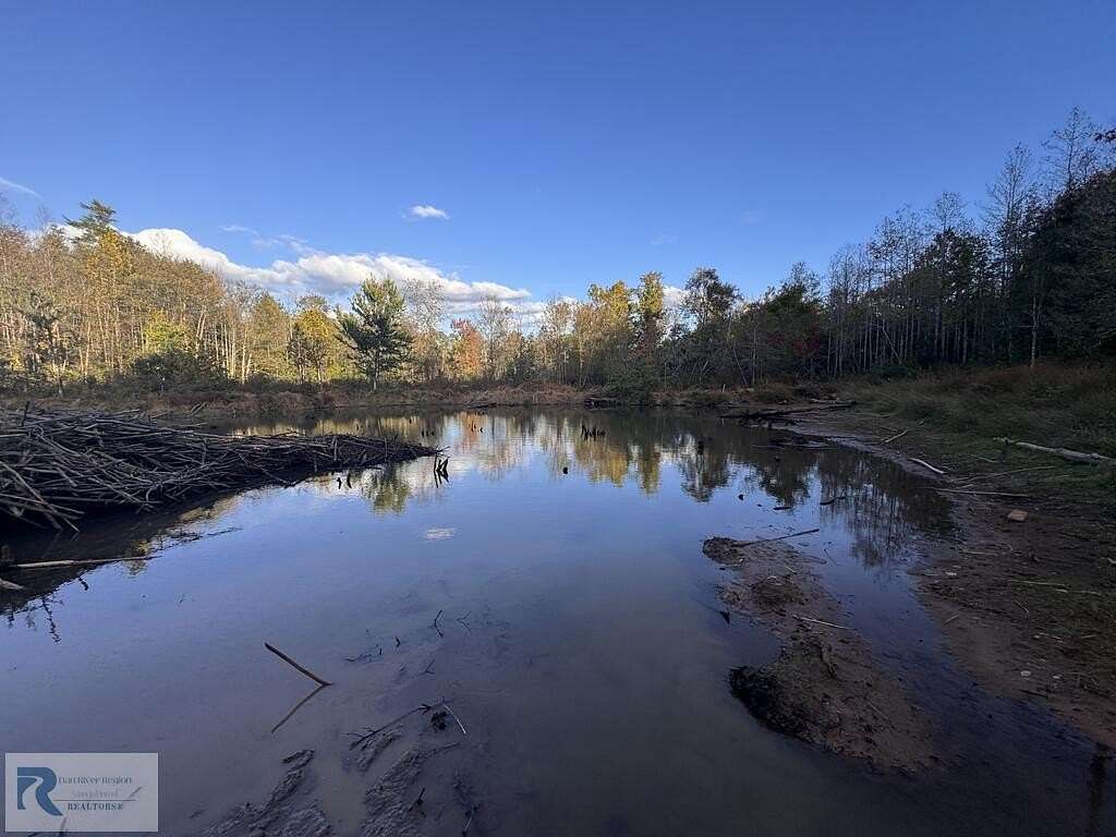 32 Acres of Recreational Land for Sale in La Crosse, Virginia