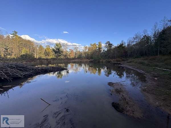 32 Acres of Recreational Land for Sale in La Crosse, Virginia