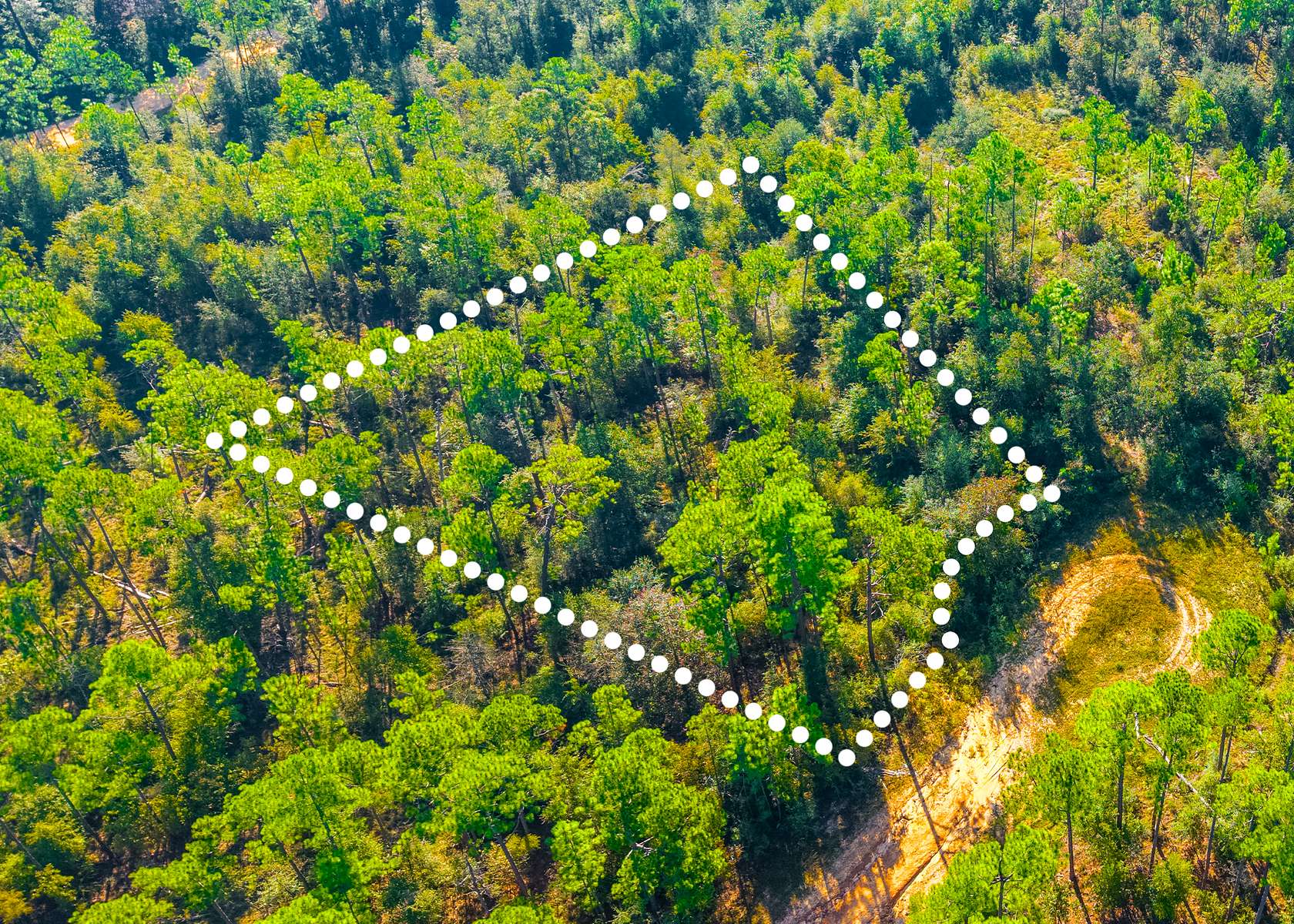 0.98 Acres of Residential Land for Sale in Alford, Florida